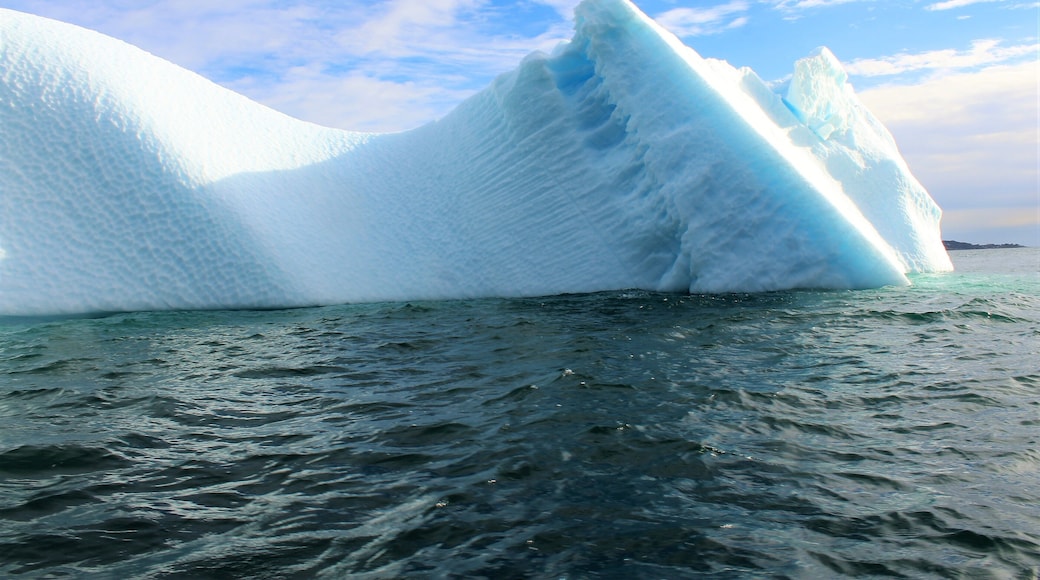 On the Nuuk fjord in Western Greenland! Taken on September 1st. This was one of my favorite days in Greenland, as I took a memorable boat ride on the fjord! This iceberg is one of it's most wonderful views :).
The map location is only approximate. It is somewhere in that area of the fjord.