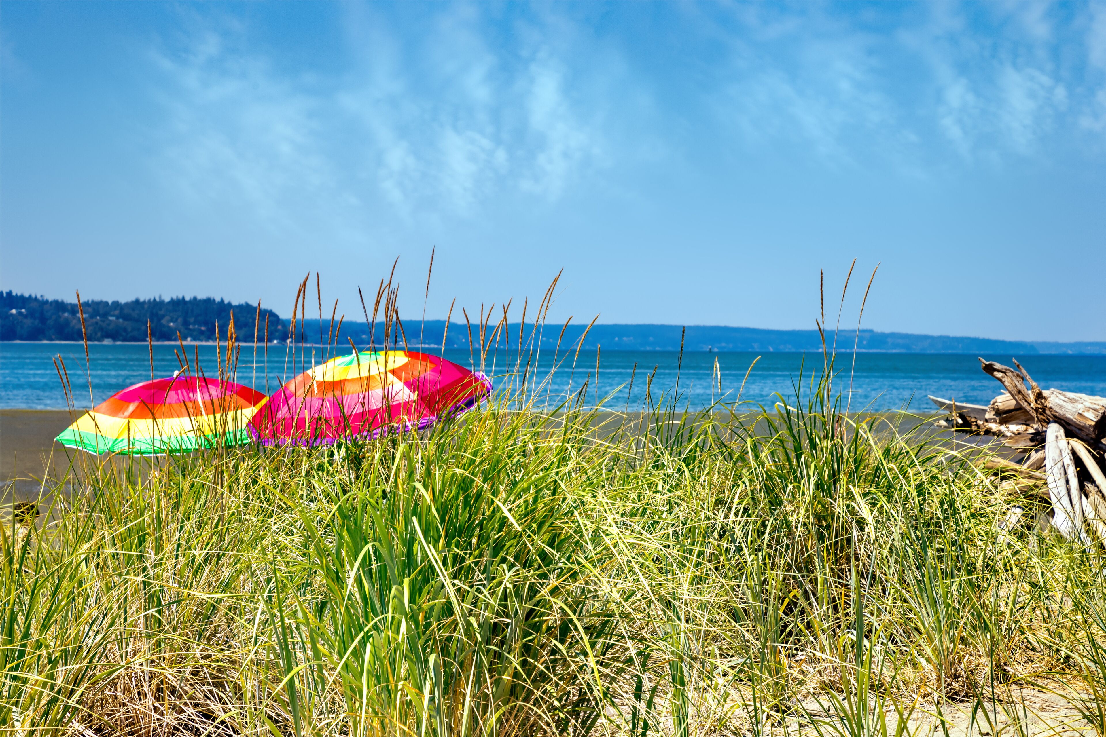 Una playa con sombrillas de colores y hierba alta.