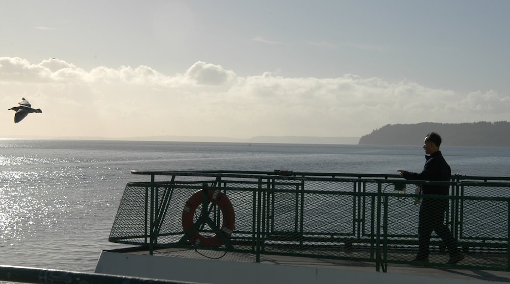 マカルティオ どの含み 海岸線の眺め と 眺め 及び 男性 (個人)