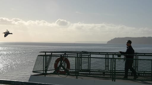 Mukilteo que incluye vistas de una costa y vistas y también un hombre