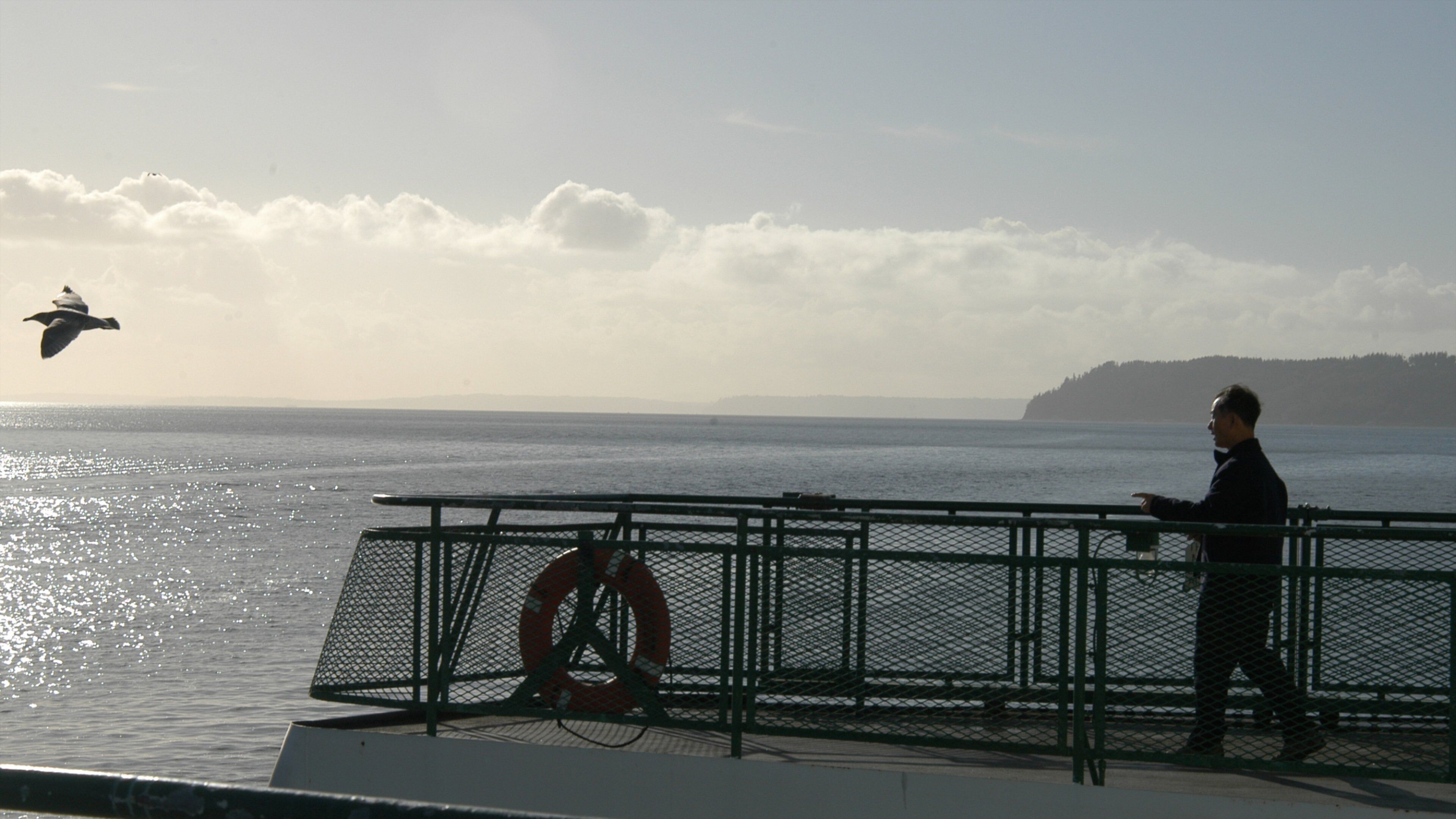 A person standing by a railing overlooking a body of water with a lifebuoy and a distant landmass.