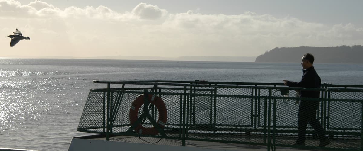 A person standing by a railing overlooking a body of water with a lifebuoy and a distant landmass.