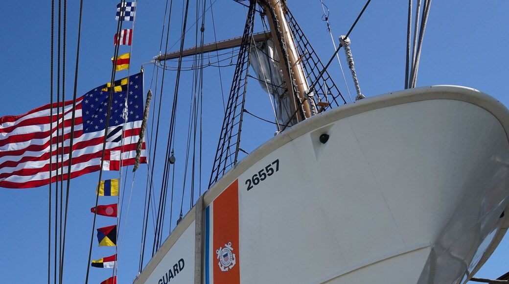 The USCGC Eagle. A magnificant three-masted barque known as "America's Tall Ship," the majestic Eagle is the largest tall ship flying the Stars and Stripes and the only active square-rigger in U.S. government service.
You can check their schedule for available tour dates and locations, which can vary. https://www.uscga.edu/eagle-schedule
SEMPER PARATUS !
#USCG #CoastGuard #SemperParatus