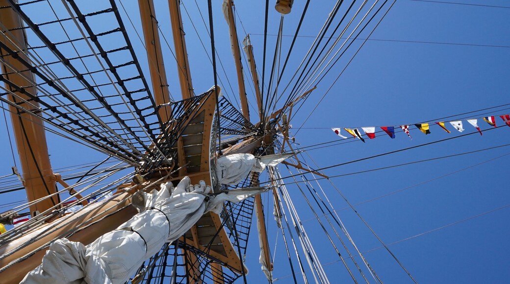 The USCGC Eagle.
A magnificant three-masted barque known as "America's Tall Ship," the majestic Eagle is the largest tall ship flying the Stars and Stripes and the only active square-rigger in U.S. government service.
Length of Eagle is 295 feet, she has 23 sails, her tallest mast is 150 feet with 6 miles of rigging. The hull and decks are made of steel.
Speed under sail is 17 knots / 20 mph
and under power: 10 knots / 11 mph.
If you like this kind of stuff then this is a must see !
You can check their schedule for available tour dates and locations, which can vary.
https://www.uscga.edu/eagle-schedule
As a Coast Guard Veteran, it was a great honor to walk the decks of this national treasure.
SEMPER PARATUS !