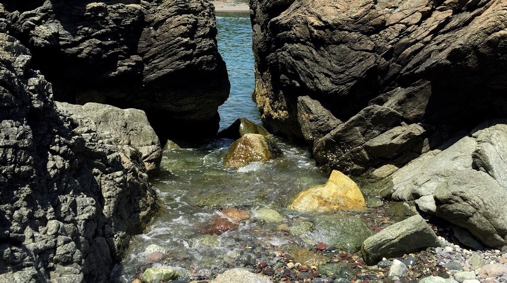 Playing on the rocks around the beach