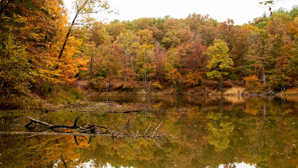 A calm lake surrounded by autumn-colored trees.