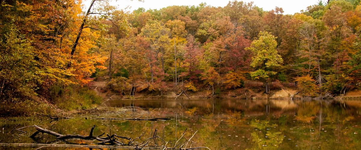 Brown County State Park - Autumn - Nashville, Indiana