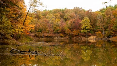 Brown County State Park - Autumn - Nashville, Indiana