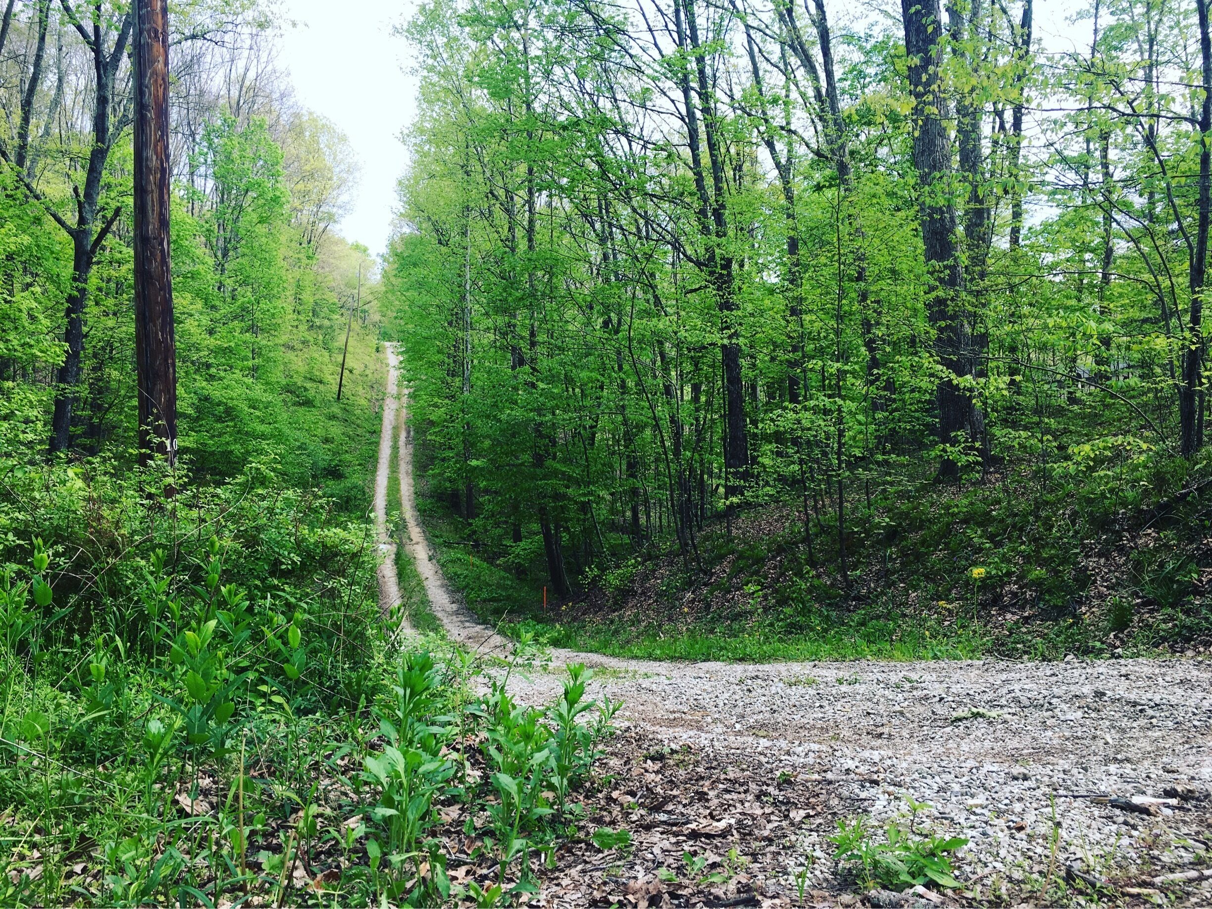 Hilly humid southern Indiana. 