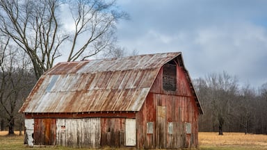 The reflections of an old barn.