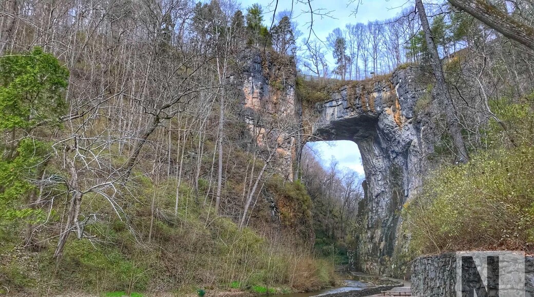 Natural Bridge March 2018