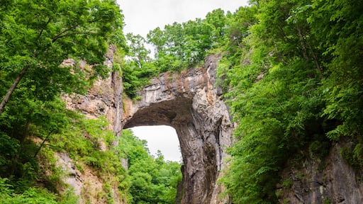Natural Bridge