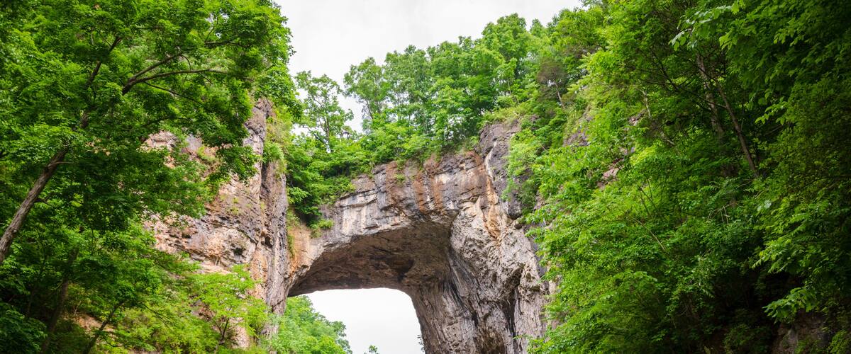 A natural rock arch formation surrounded by dense green foliage.
