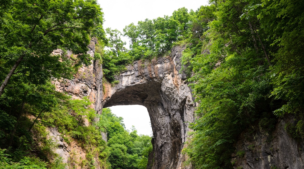 Natural Bridge, Virginia