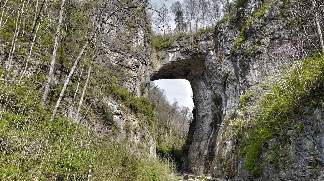 Once owned by Thomas Jefferson and listed on the National Register of Historic Places, the 215-foot tall Natural Bridge is a limestone gorge carved out by Cedar Creek.