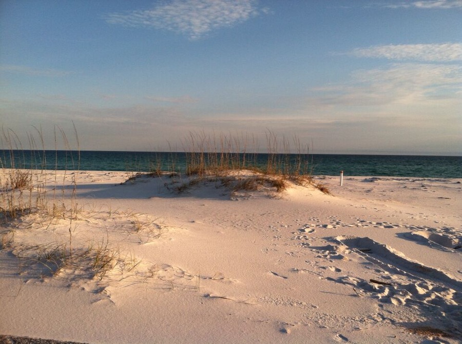 Isolated and beautiful #beach