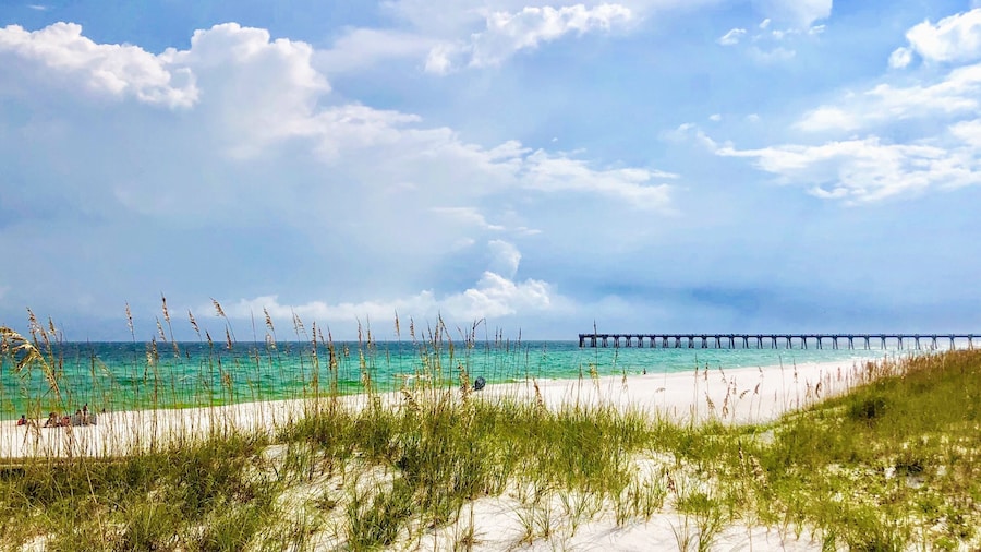 #navarrebeach #emeraldcoast #whitesugarysand #sanddunes #beach #beachlife