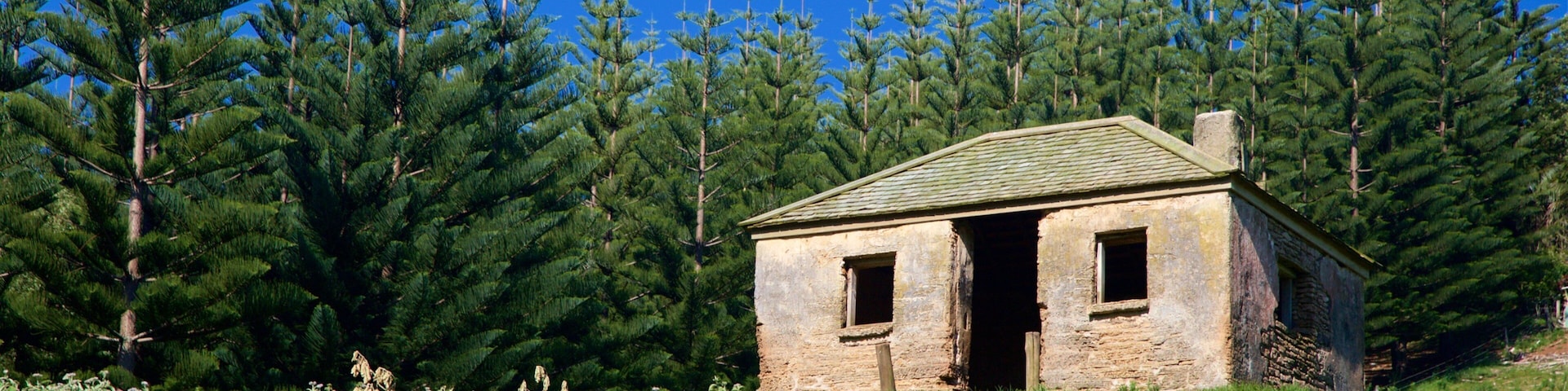 Norfolk Island featuring tranquil scenes
