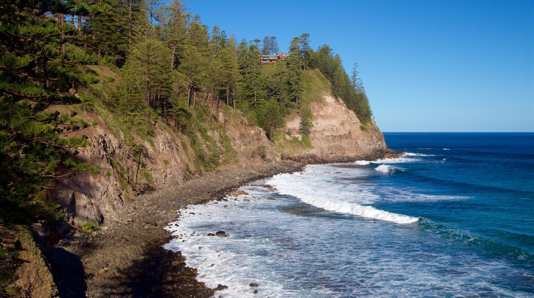 Norfolk Island showing rocky coastline and general coastal views