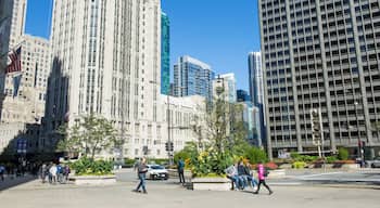 Chicago_NearNorthSide_137043_09