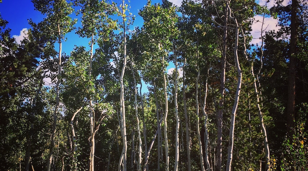 Cute hiking path, just off the highway into town.