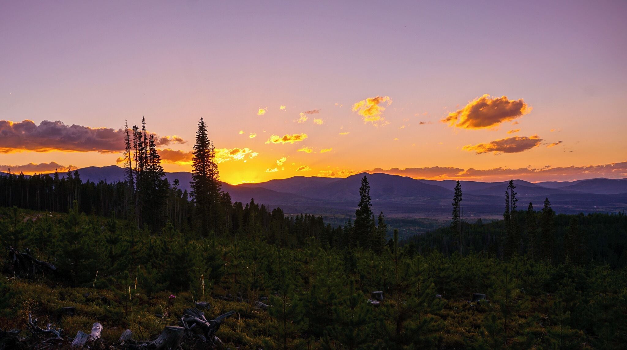 A forested mountain range at sunset with a clear sky.