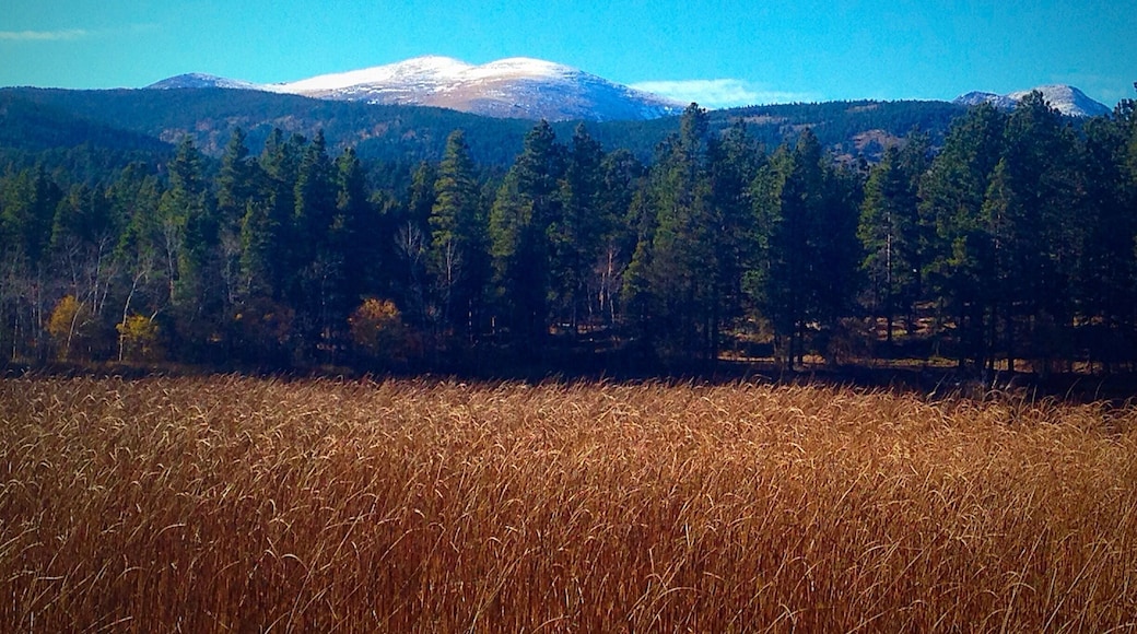 At Caribou Ranch open space