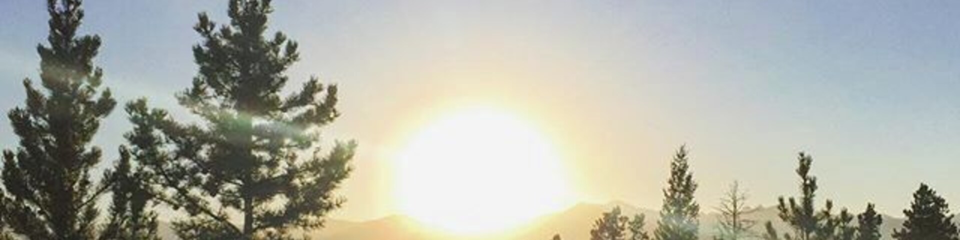 In case you were wondering what it looks like to stare at the #sun in the #mountains amidst the #forest #nederland #Colorado #WeekendGetaway