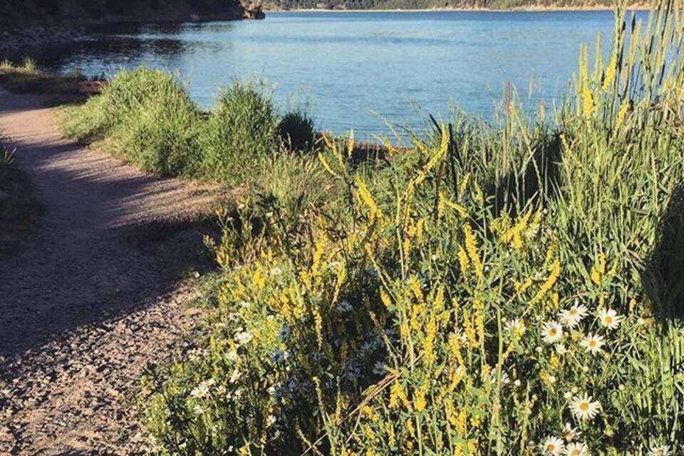 Un lago rodeado de follaje y un sendero de tierra.