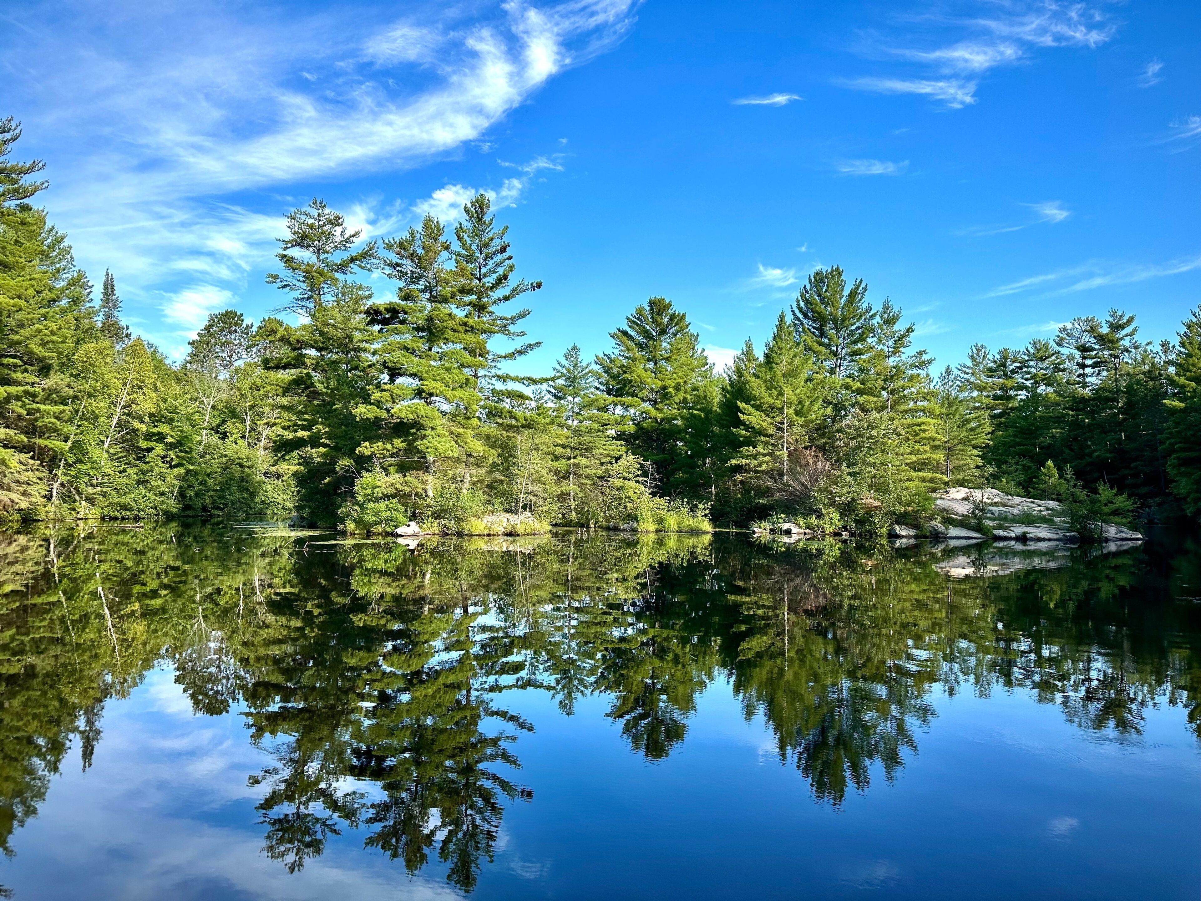 lake and trees reflection