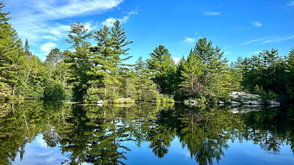 A calm lake surrounded by dense green trees and clear blue sky.