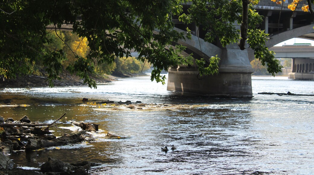 River's edge: Grand River Downtown Grand Rapids