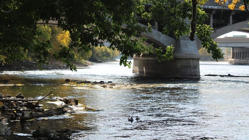 ๊ทธ๋๋ ๋ํผ์ฆ