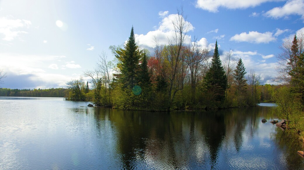 Dam for Prairie Lake and Prairie River. Really nice place to watch fast running water and get some photos of rapids