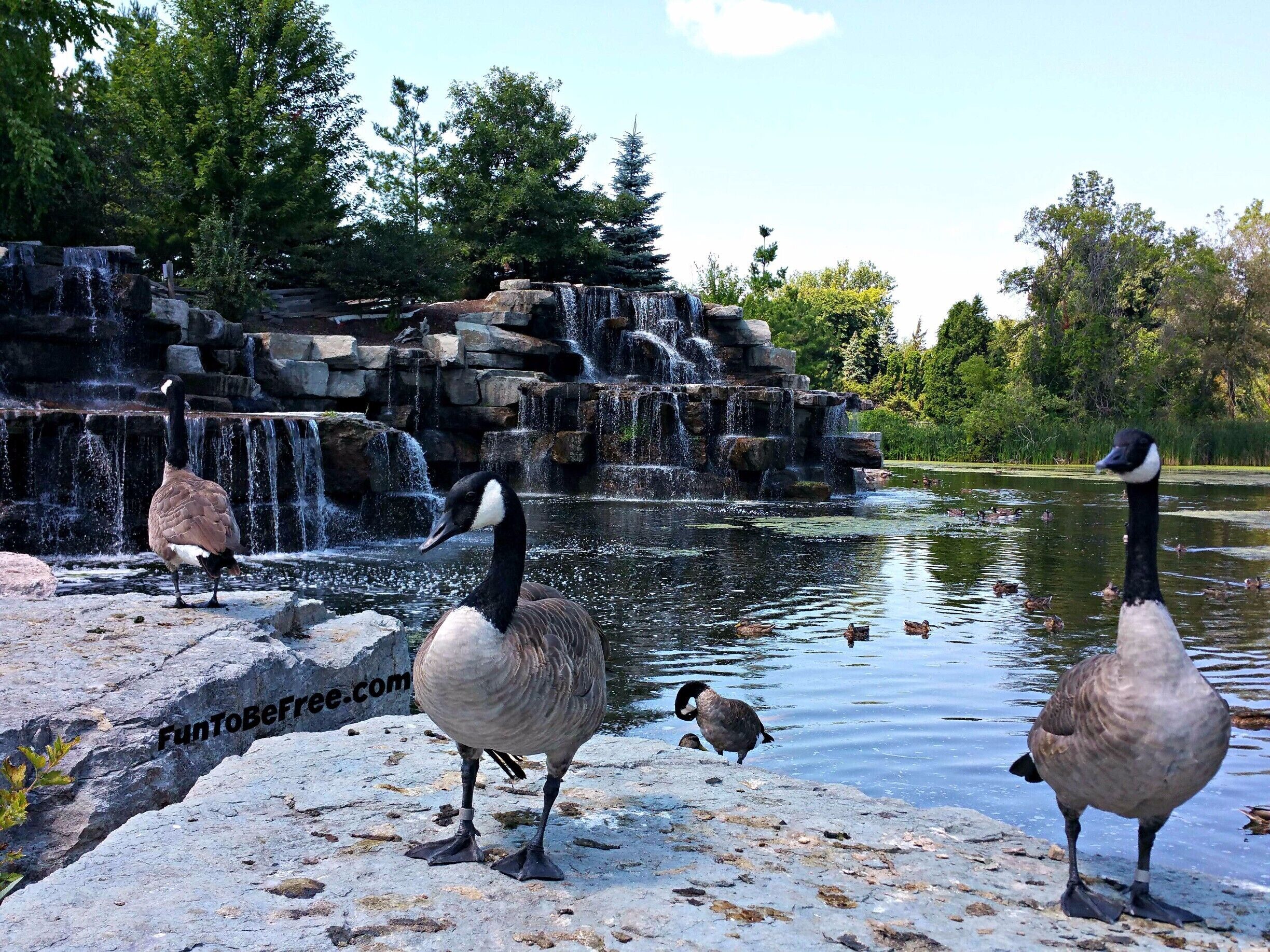 The #BayBeach #WildLife Sanctuary area is a great place family or just to get away. A well kept up park with many animals to see... Plus great trails for ‪#‎Hiking‬ & ‪#‎Biking‬ ‪#‎WeekendGetAway‬ Part of my North East Wisconsin album on Facebook.