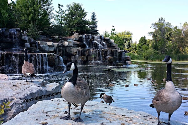 The #BayBeach #WildLife Sanctuary area is a great place family or just to get away. A well kept up park with many animals to see... Plus great trails for #Hiking & #Biking #WeekendGetAway Part of my North East Wisconsin album on Facebook.