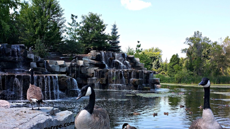 The #BayBeach #WildLife Sanctuary area is a great place family or just to get away. A well kept up park with many animals to see... Plus great trails for #Hiking & #Biking #WeekendGetAway Part of my North East Wisconsin album on Facebook.