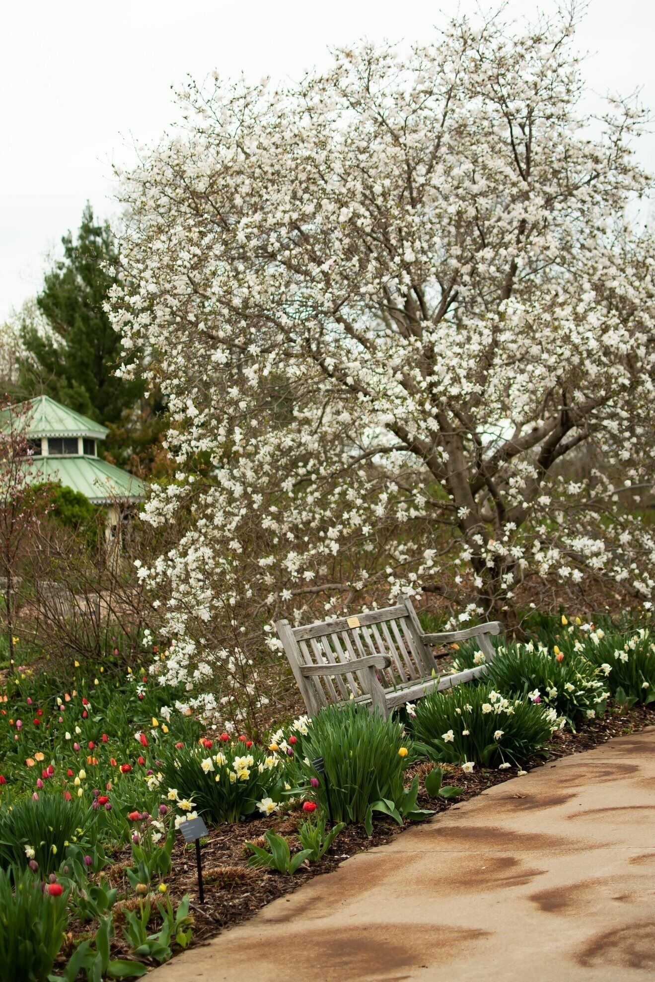 Springtime at the GBBG