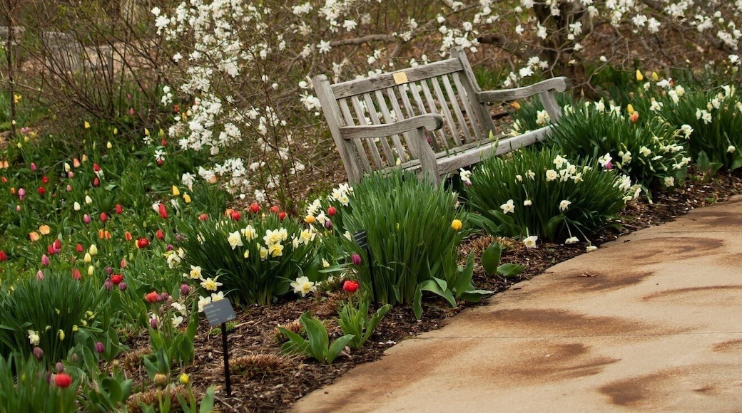 Springtime at the GBBG