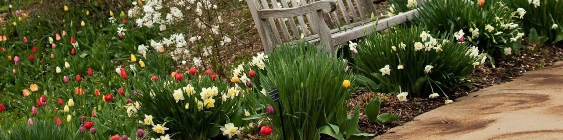 Springtime at the GBBG