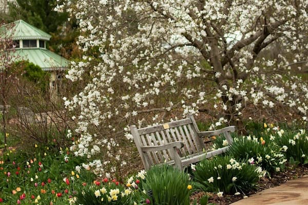 Springtime at the GBBG