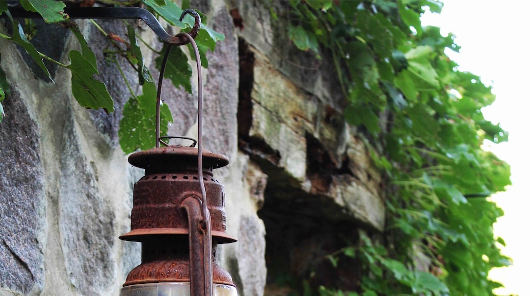 Green Bay Botanical Garden