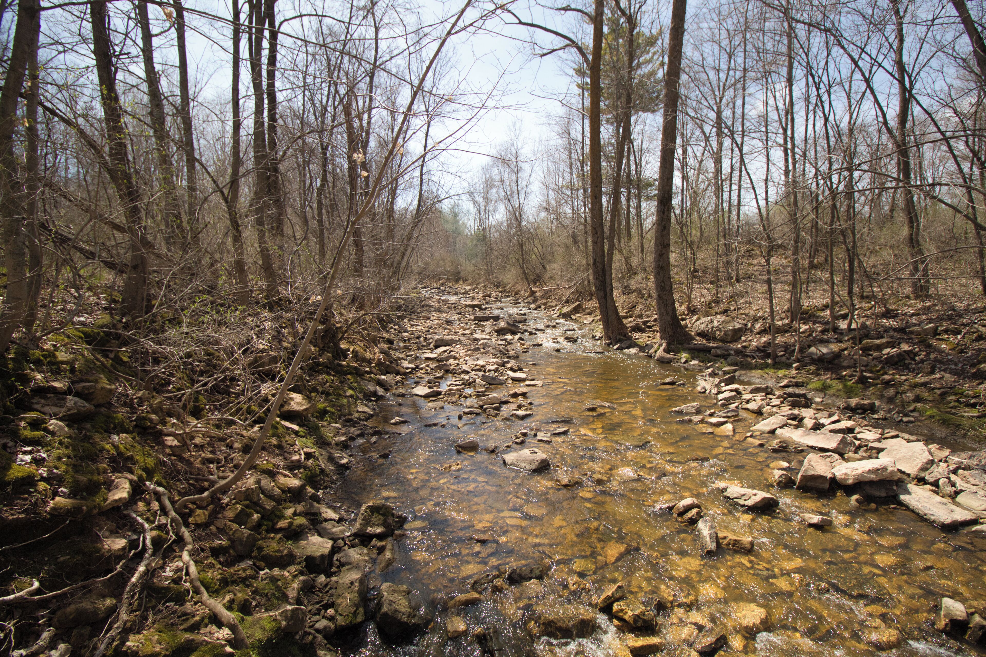 The river downstream from the falls.