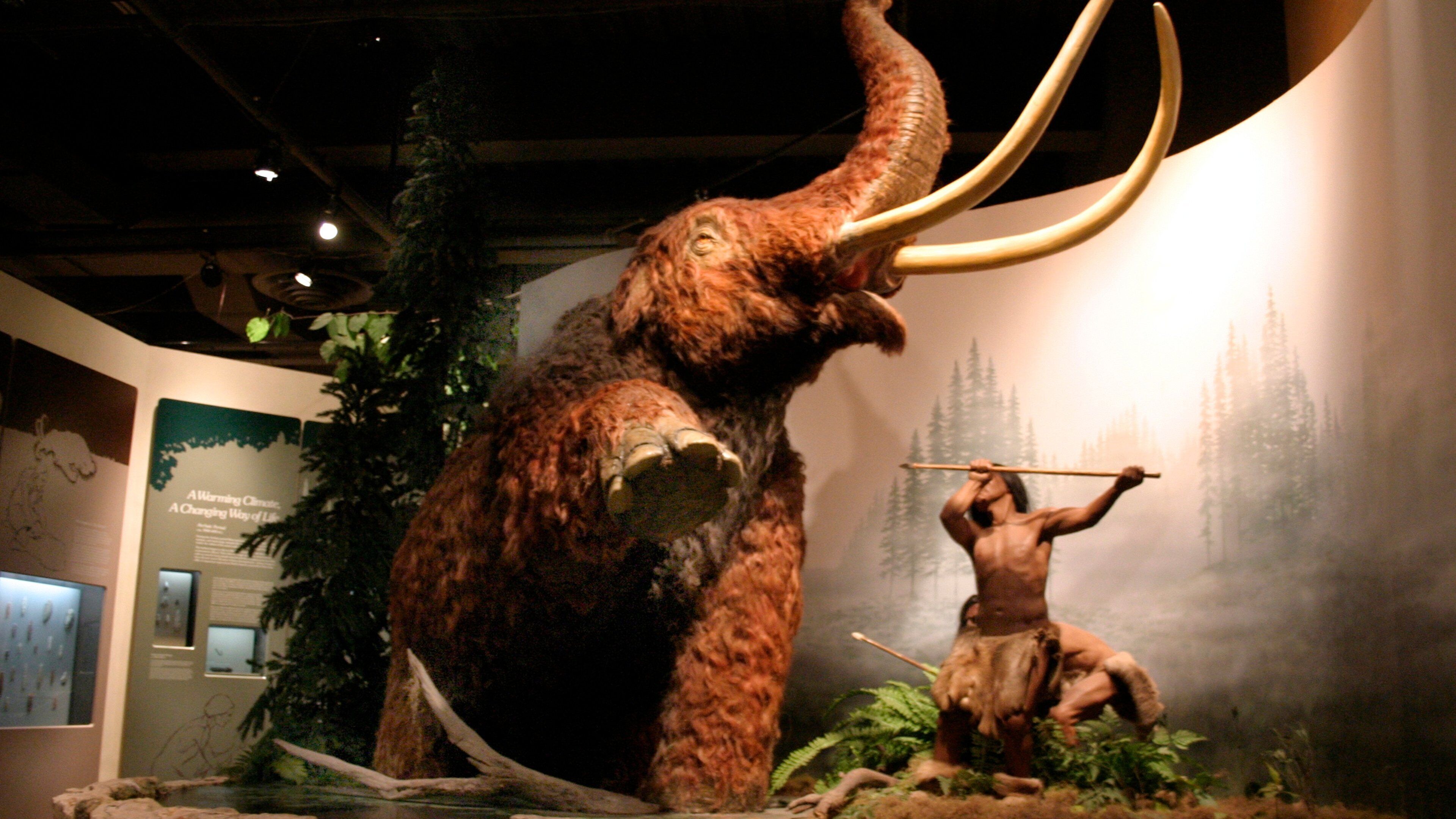 Green Bay mettant en vedette un monument commémoratif et scènes intérieures