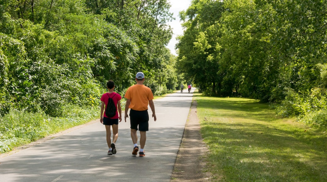 Walkers Enjoy The Fox River Trail Near De Pere, Wisconsin, In Summer