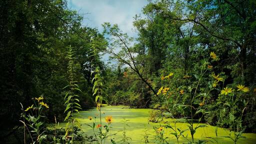 Nice #Bikeride on the East River Trail. Easy path & Many rest areas on the way. #Biking #Hiking #Adventure. Part of my North East #Wisconsin Photo album on FB