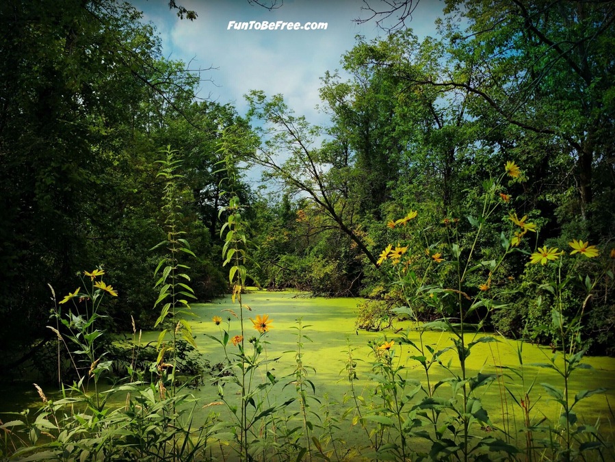 Nice #Bikeride on the East River Trail. Easy path & Many rest areas on the way. #Biking #Hiking #Adventure. Part of my North East #Wisconsin Photo album on FB
