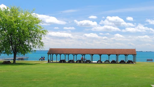 نيو بالتيمور