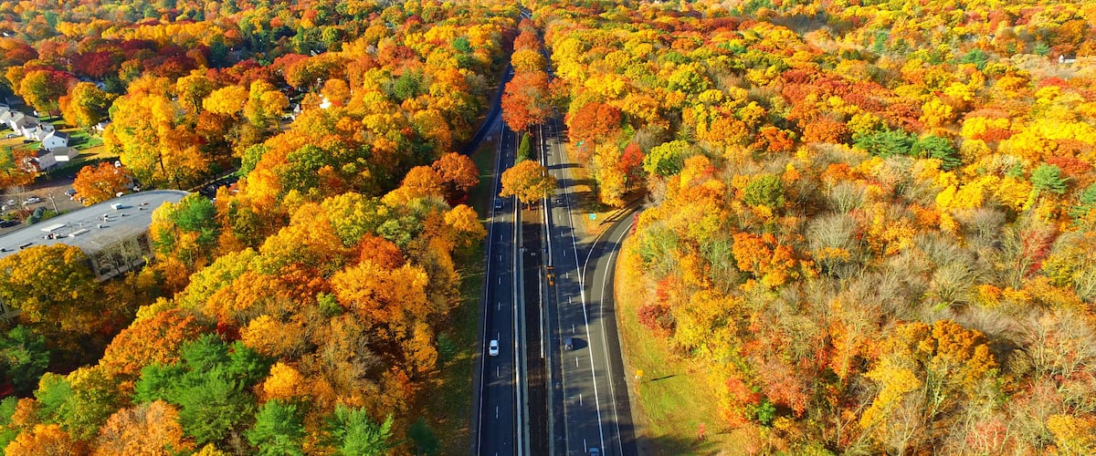 A highway surrounded by autumn foliage.