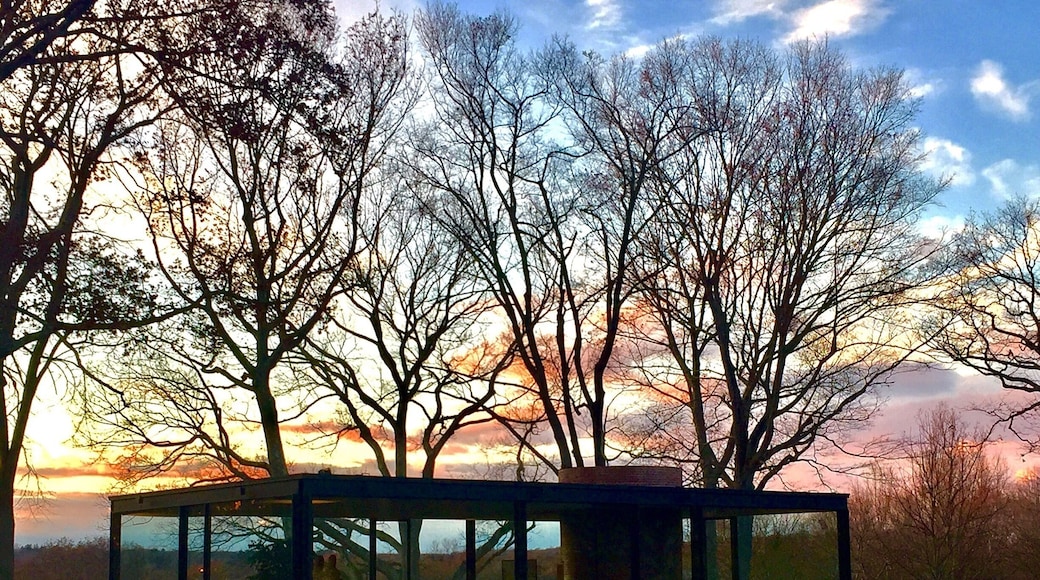 Glasshouse by Phillip Johnson, we went there in November and we were able to see it when the Sun is setting. Stunning!!